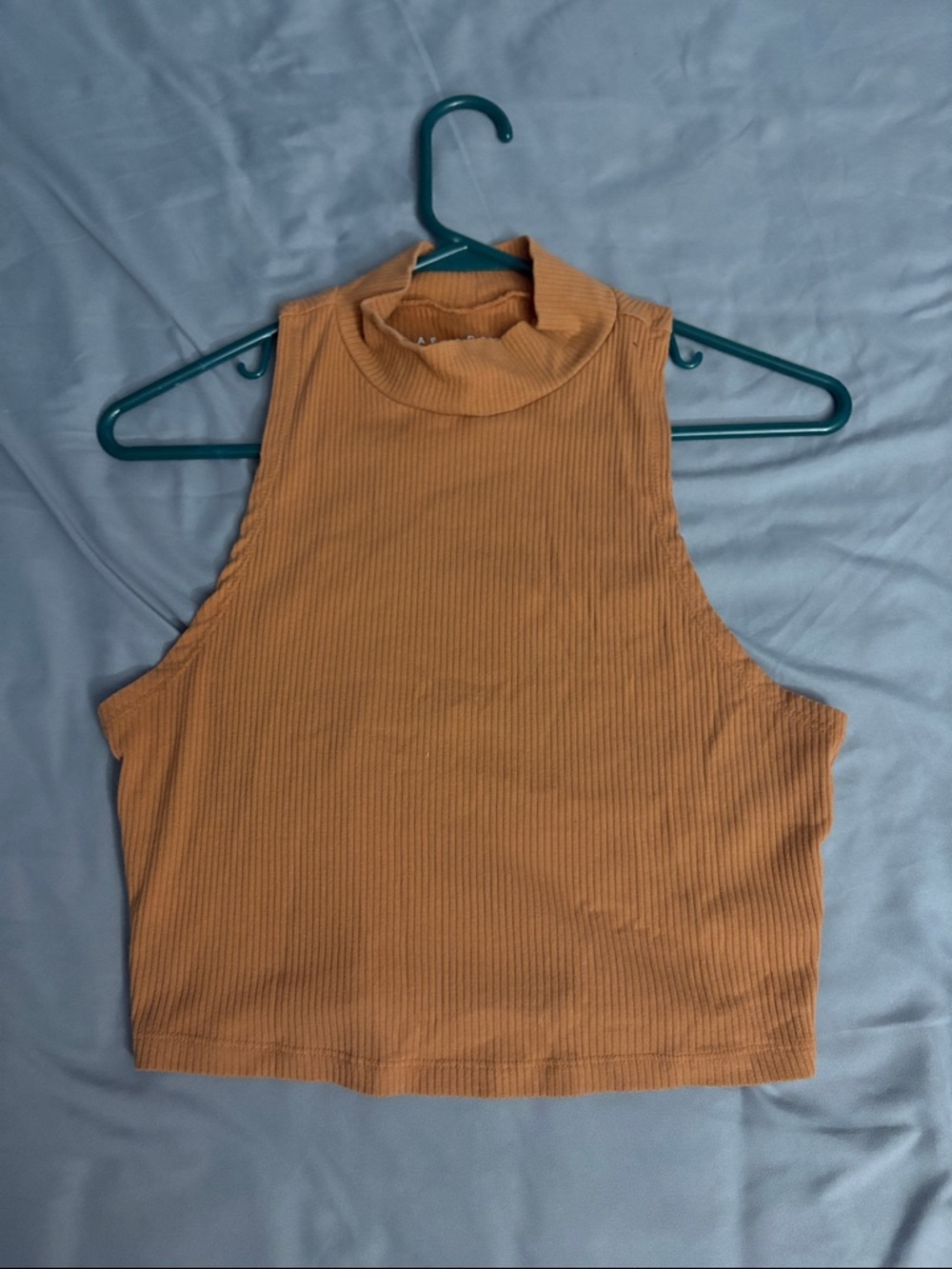 Sleeveless Mock Neck Ribbed Crop Top - Rust Orange